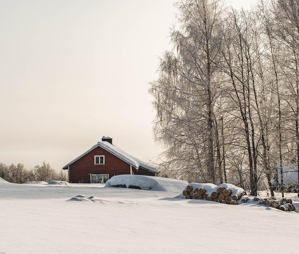 The Brisk Refuge